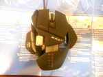 rat715