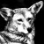 Avatar of CharcoalCoyote